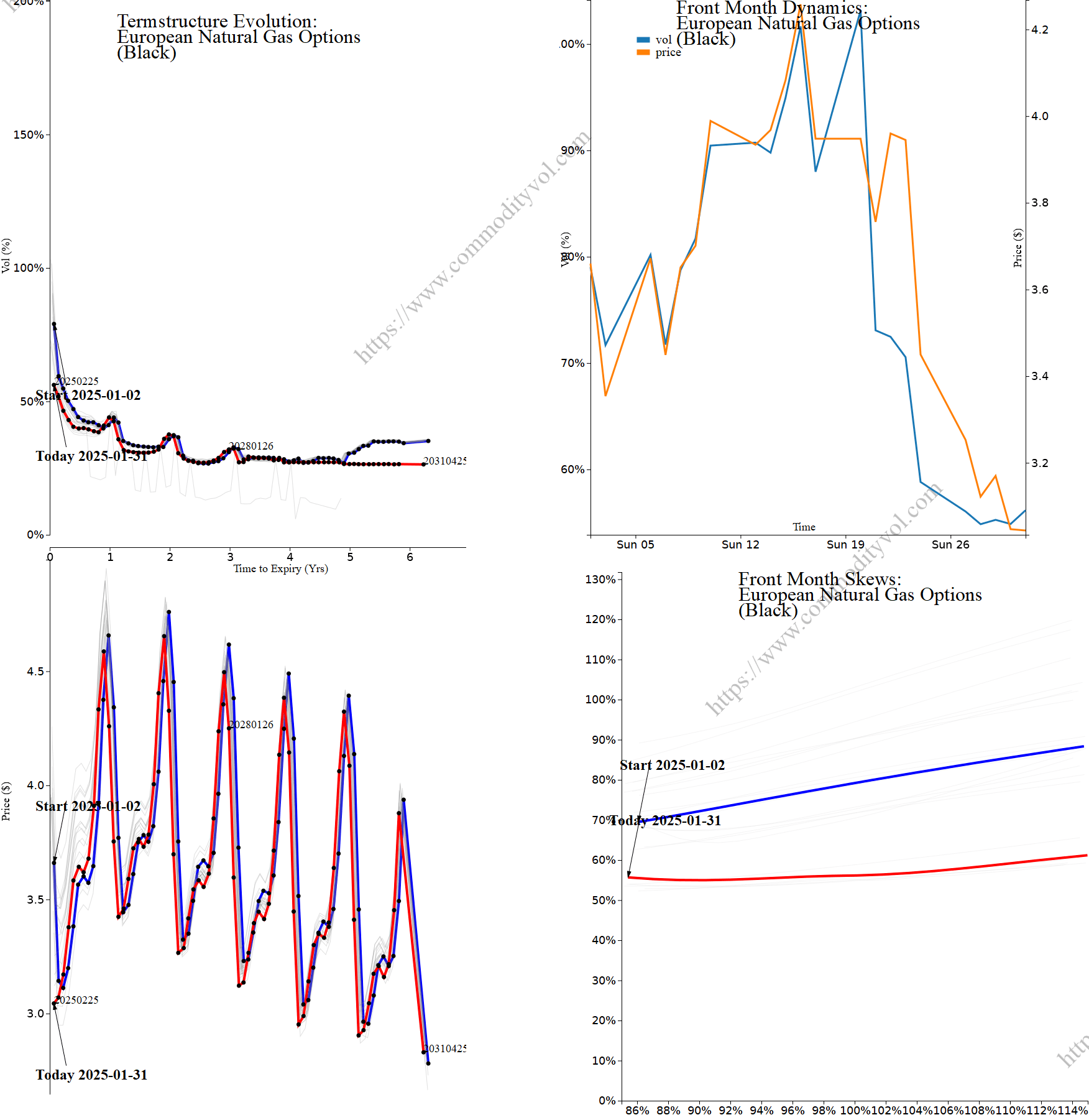 Market summary 4x4 plot European Natural Gas Options