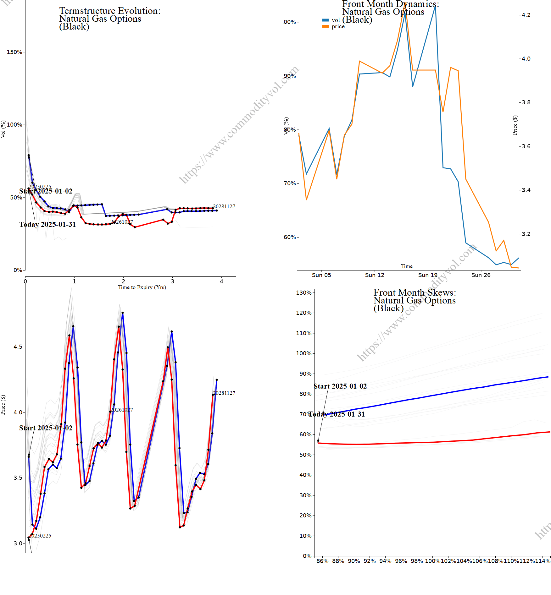 Market summary 4x4 plot Natural Gas Options